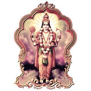 ധന്വന്തരി  (Dhanwanthari)